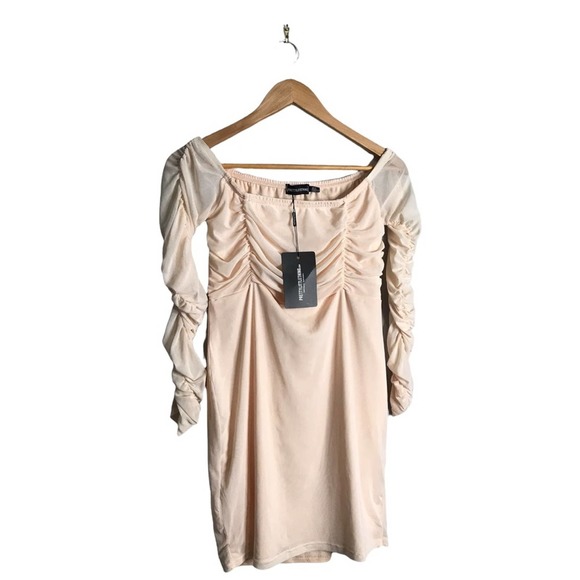 PrettyLittleThing | New Blush Ruched Mesh Bardot Bodycon Dress - Picture 5 of 12